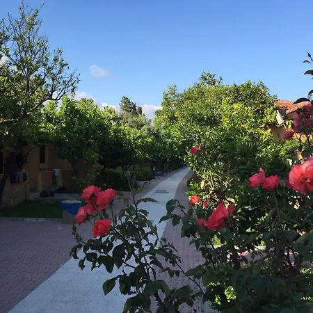 Ozlem Garden Side